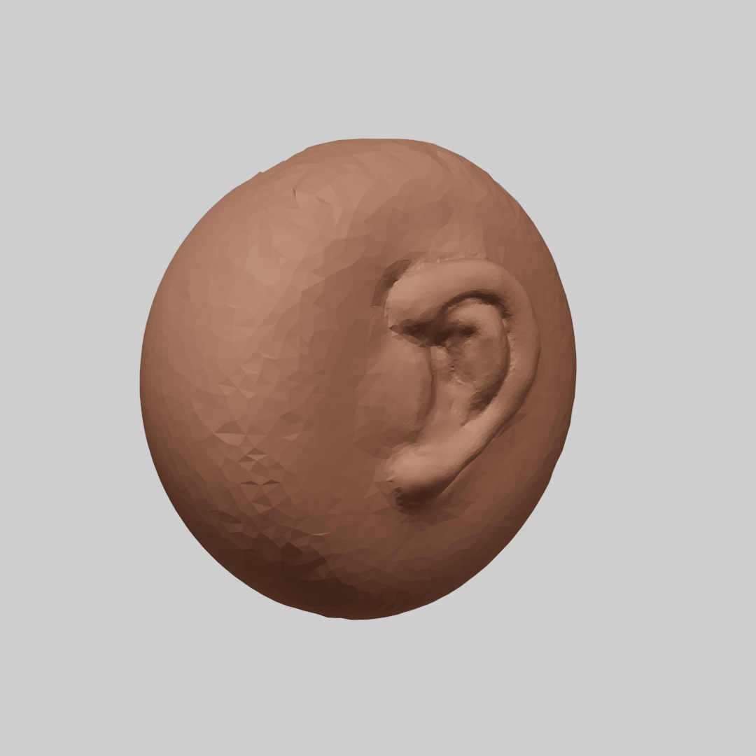 ear_sculpt
